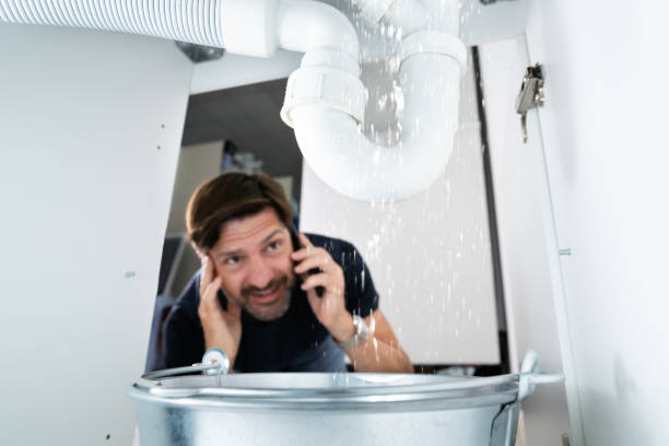Best Residential Plumbing Services  in Emerald Lake Hills, CA